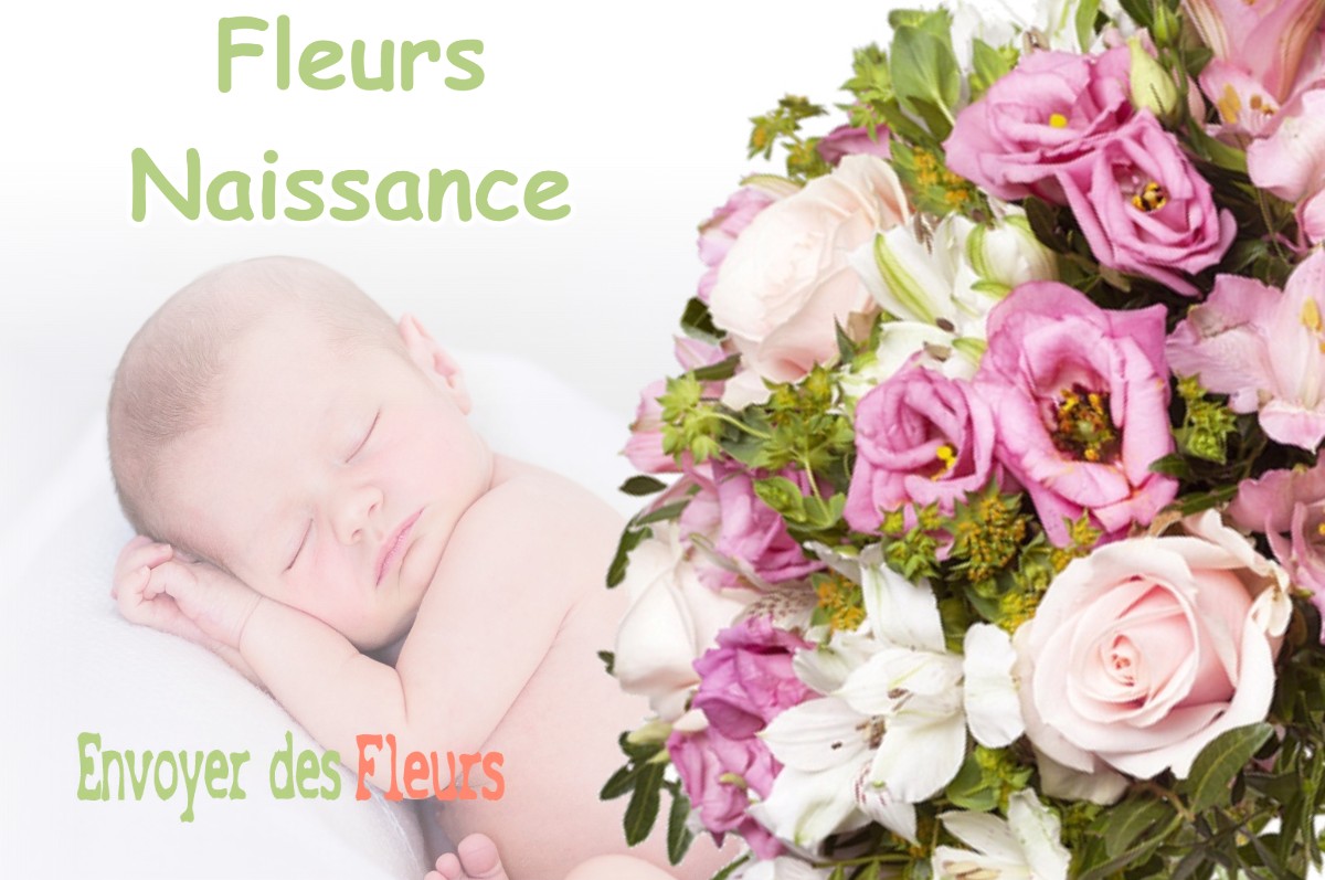 lIVRAISON FLEURS NAISSANCE à SEYSSINS